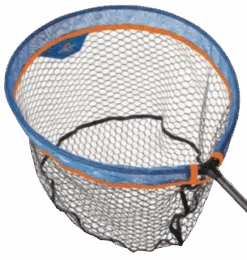 Colmic TESTA: COMMON GUMMA CARPA