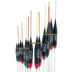 Dino BELGE - 16 Opties (3 Stuks)