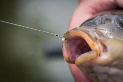 Matrix MXC-6 MEDIUM EYED BARBLESS -4 Opties 17 Matrix MXC-6 MEDIUM EYED BARBLESS -4 Opties -Visserij Benodigdheden Winkel mxc 6 in use 12